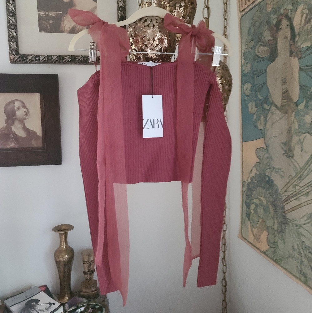 NWT Zara crop top off the shoulder sweater